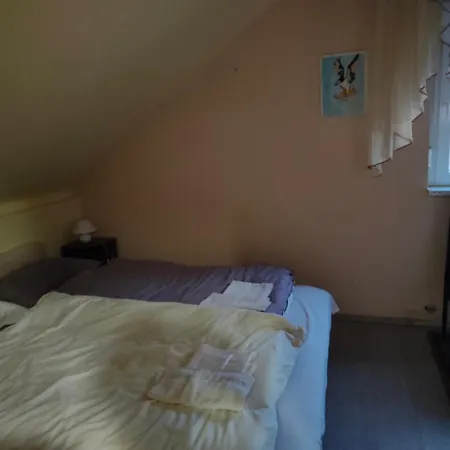 Bella Vendeghaz Szekesfehervar