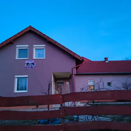 Bella Vendeghaz Szekesfehervar
