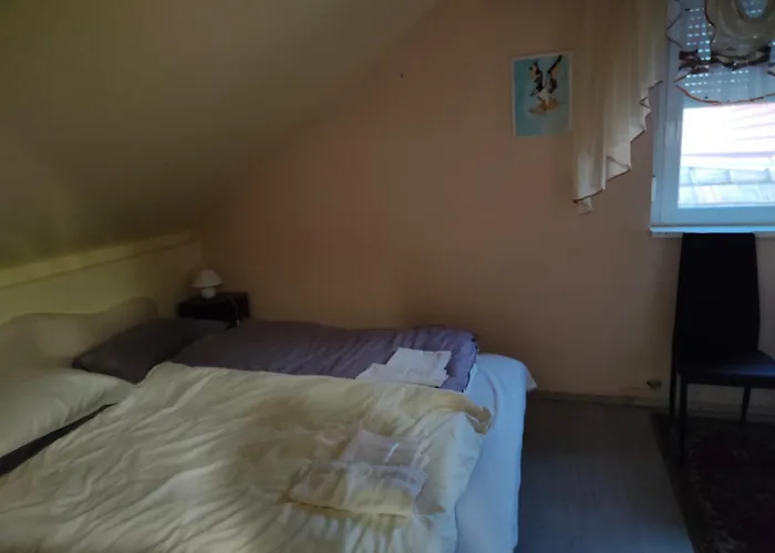 Bella Vendeghaz セーケシュフェヘールヴァール