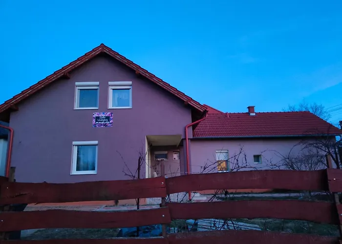 Bella Vendeghaz Székesfehérvár